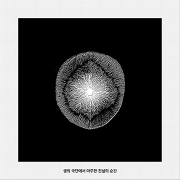 생의 극단에서 마주한 진실의 순간