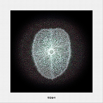 연금술사