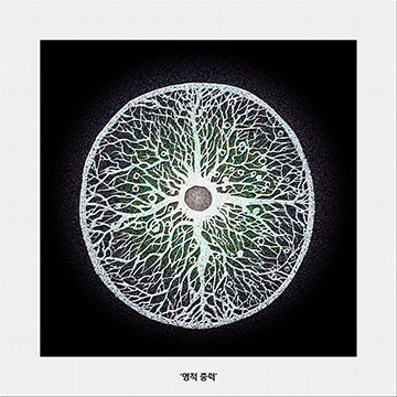 ‘영적 중력’